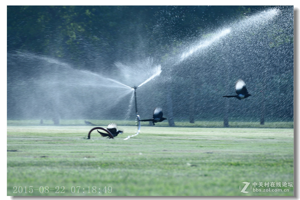 泰丰公园重现蓝天白云