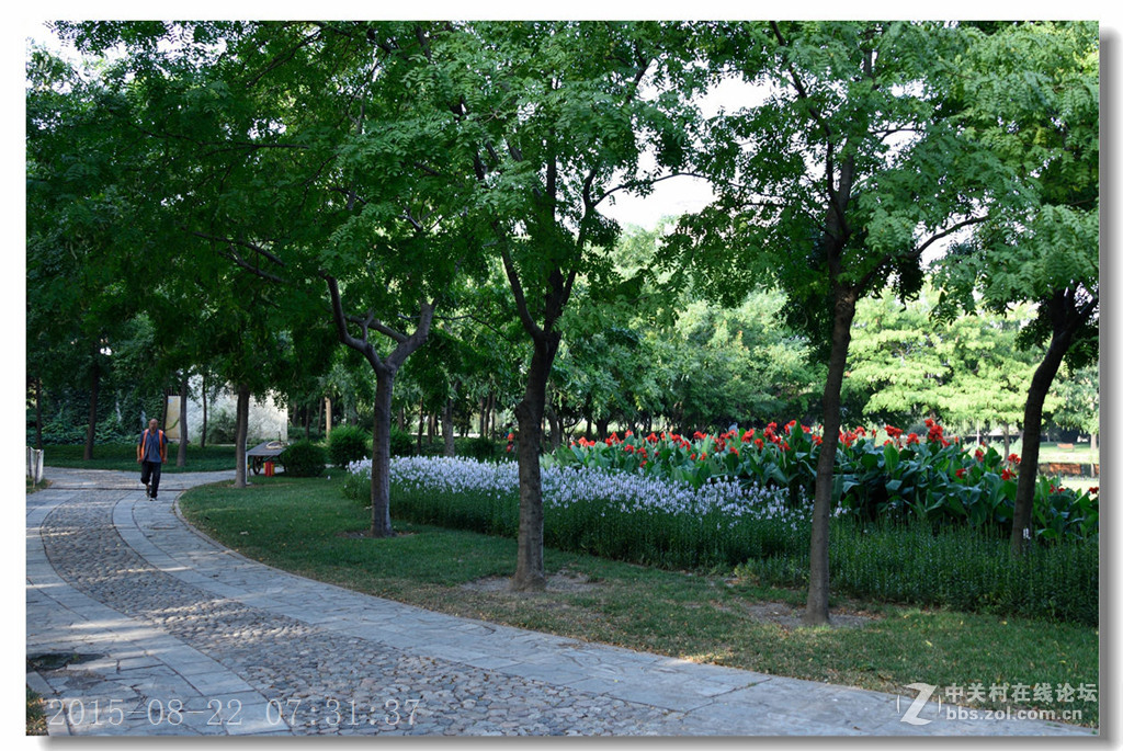 泰丰公园重现蓝天白云