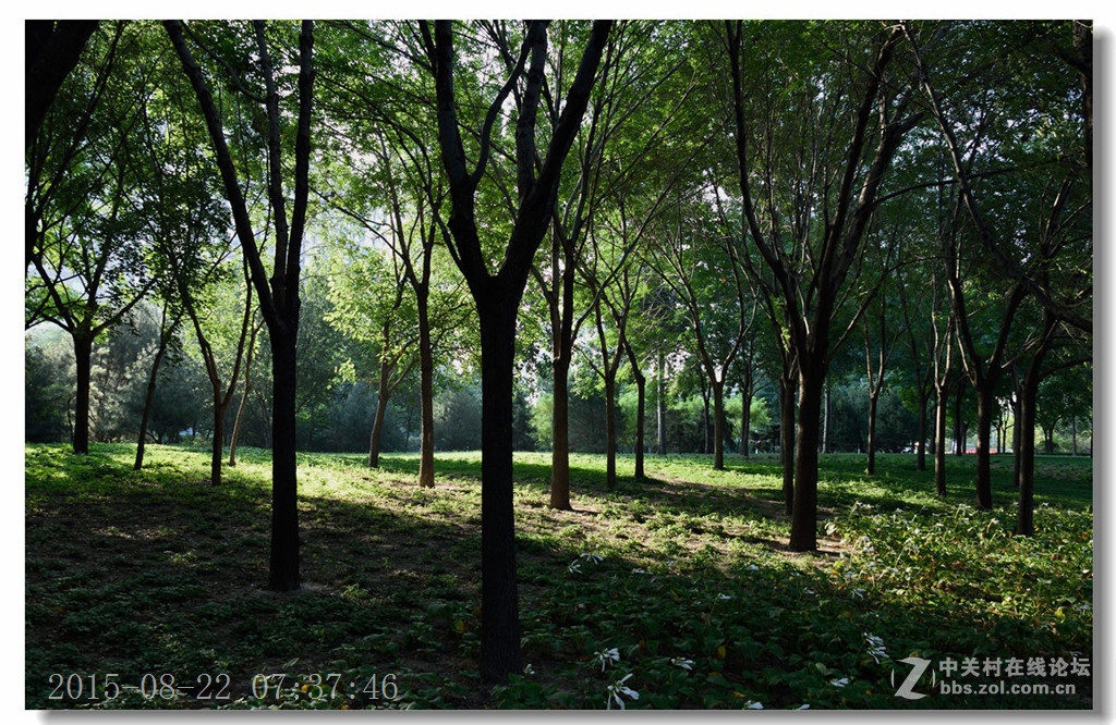 泰丰公园重现蓝天白云