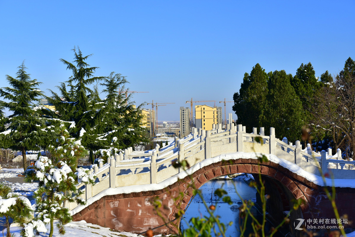 750 70-200,,2015年第一场大雪后的诸葛亮公园。