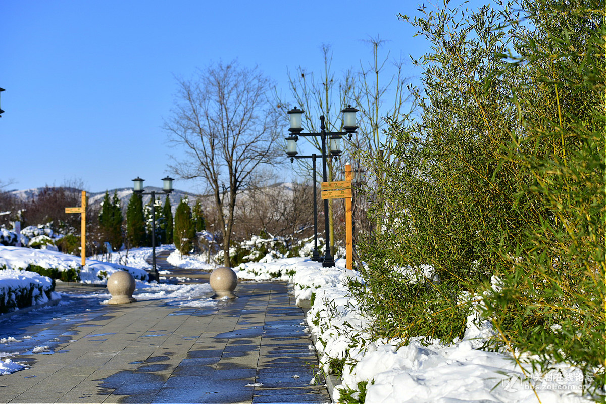 750 70-200,,2015年第一场大雪后的诸葛亮公园。