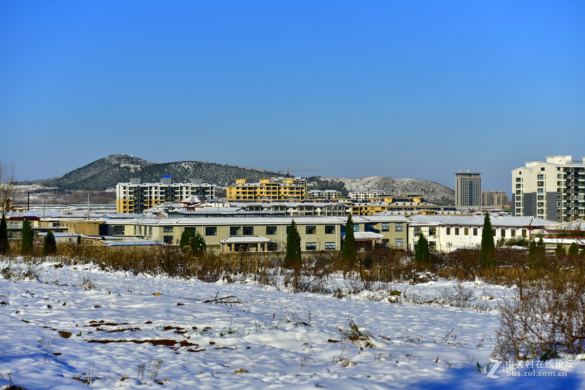 750 70-200,,2015年第一场大雪后的诸葛亮公园。