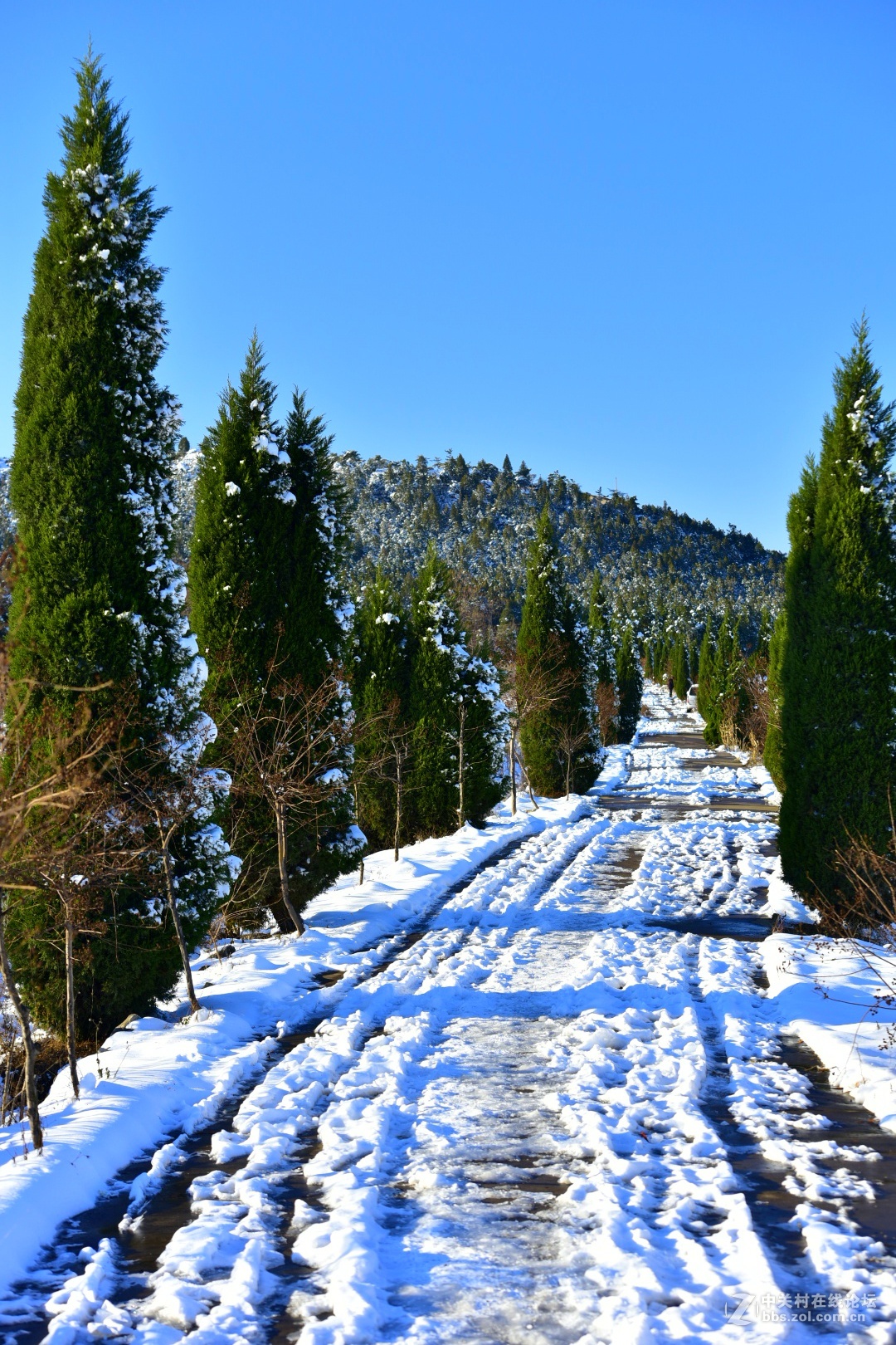 750 70-200,,2015年第一场大雪后的诸葛亮公园。