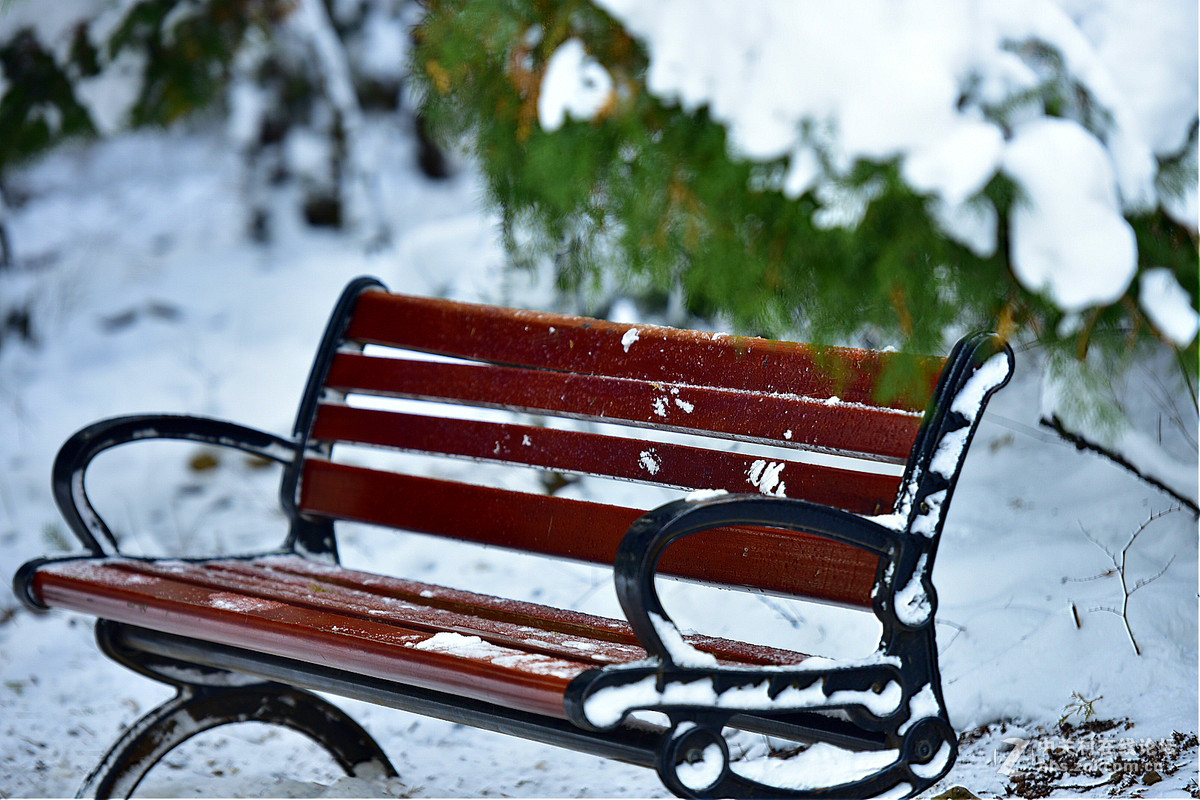 750 70-200,,2015年第一场大雪后的诸葛亮公园。