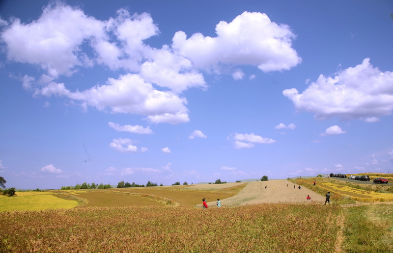 2015-08-30  去冰山梁的路上“路过三道林了”