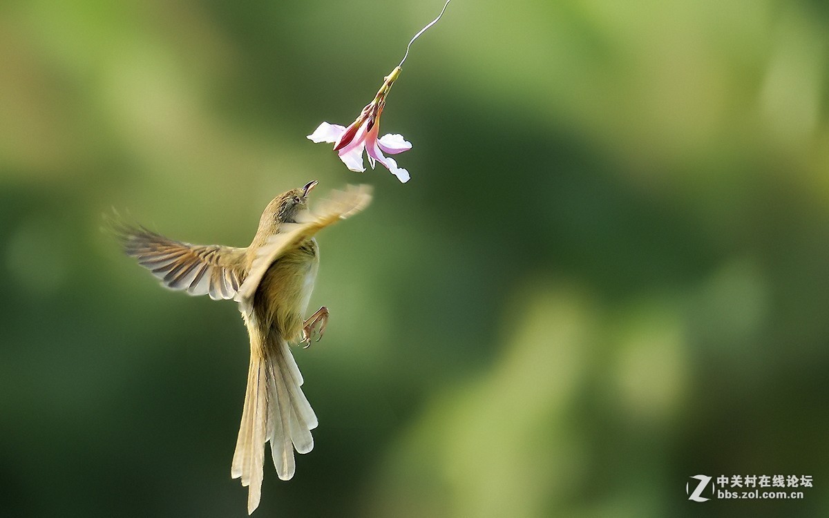 #版主坐堂# 赤峰摄影星空(中国)2016年9月、10月份部分精华作品