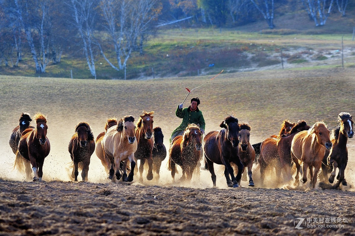 #版主坐堂# 赤峰摄影星空(中国)2016年9月、10月份部分精华作品