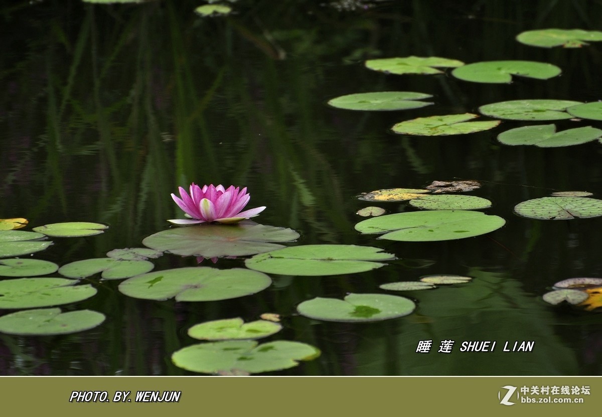 #版主坐堂# 赤峰摄影星空(中国)2016年9月、10月份部分精华作品