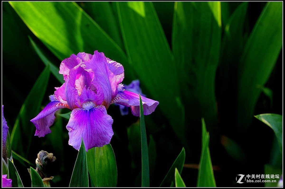 #版主坐堂# 赤峰摄影星空(中国)2016年9月、10月份部分精华作品