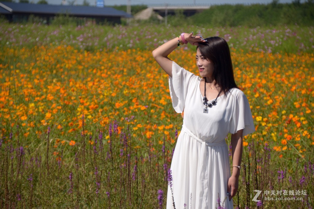 花海美女人像