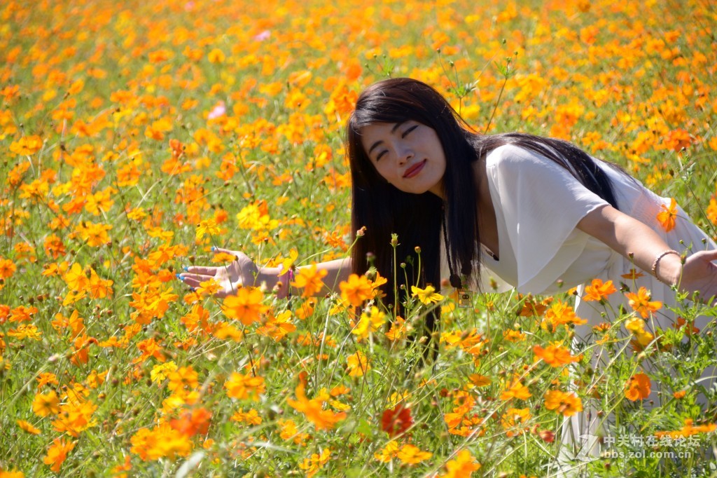 花海美女人像