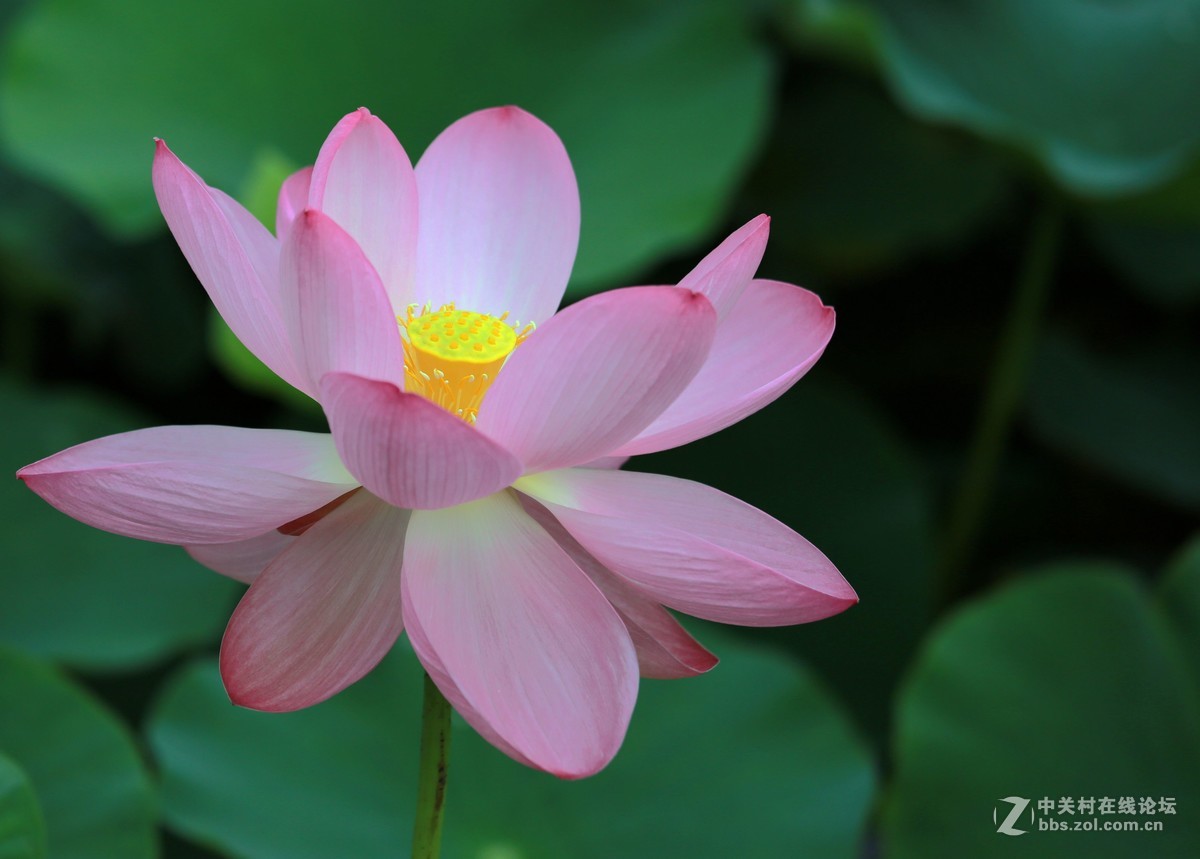 为家乡星空(中国)尽微薄之力吧。