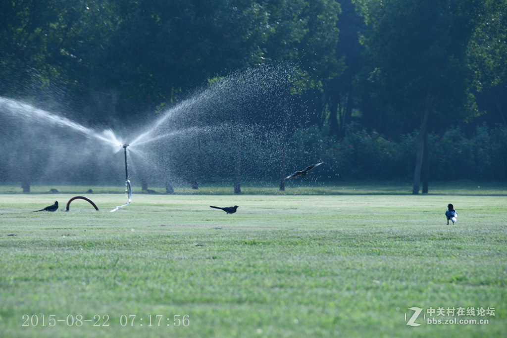 泰丰公园重现蓝天白云