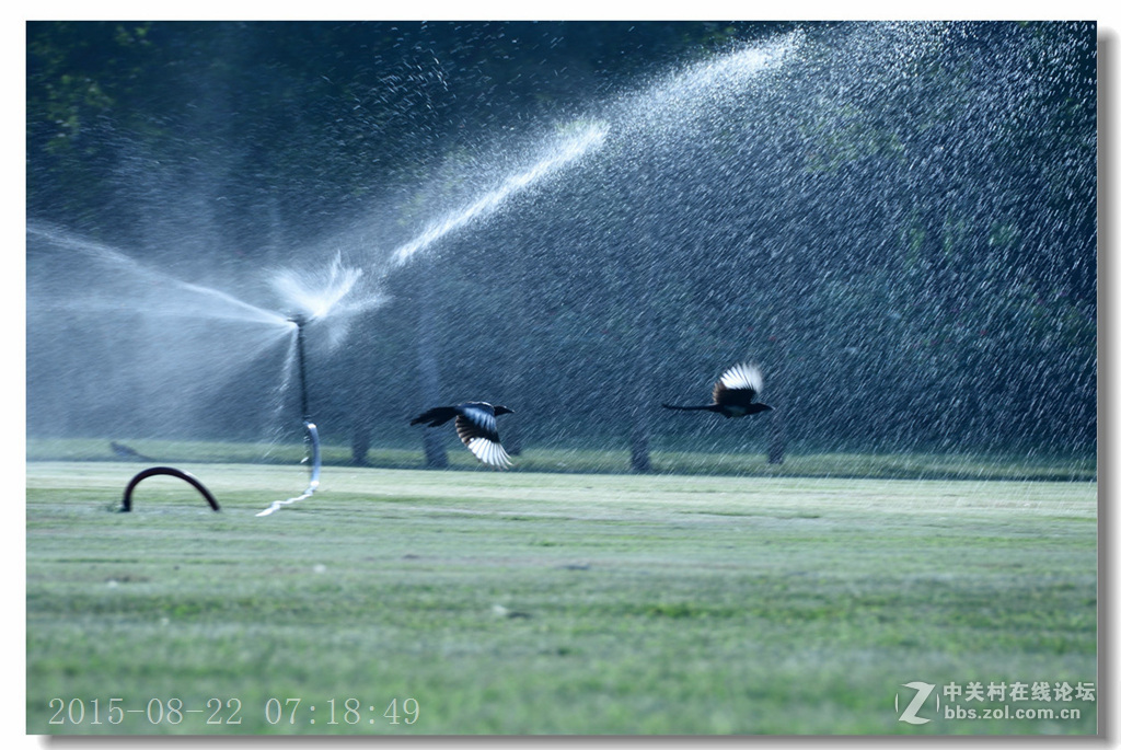 泰丰公园重现蓝天白云