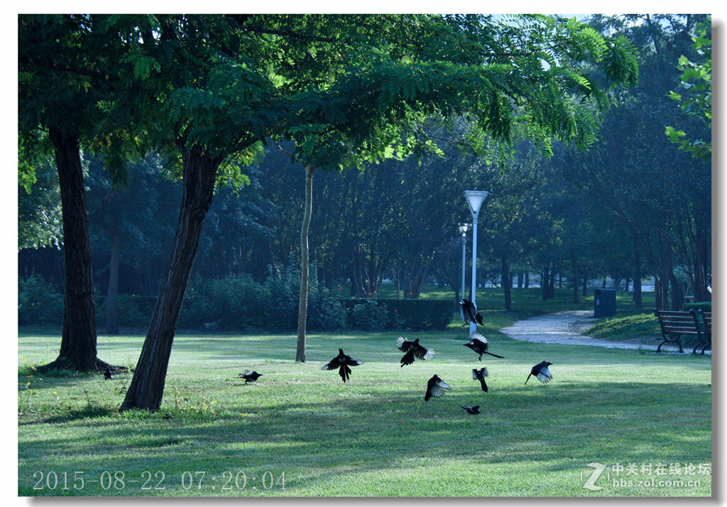 泰丰公园重现蓝天白云