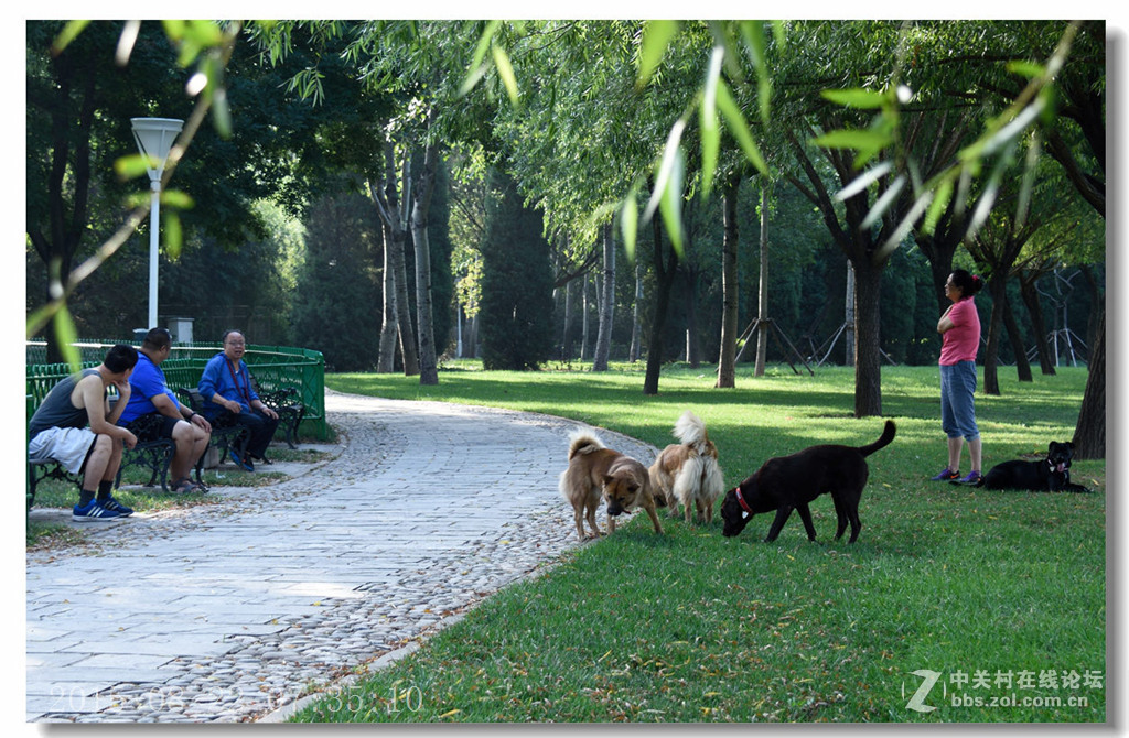 泰丰公园重现蓝天白云