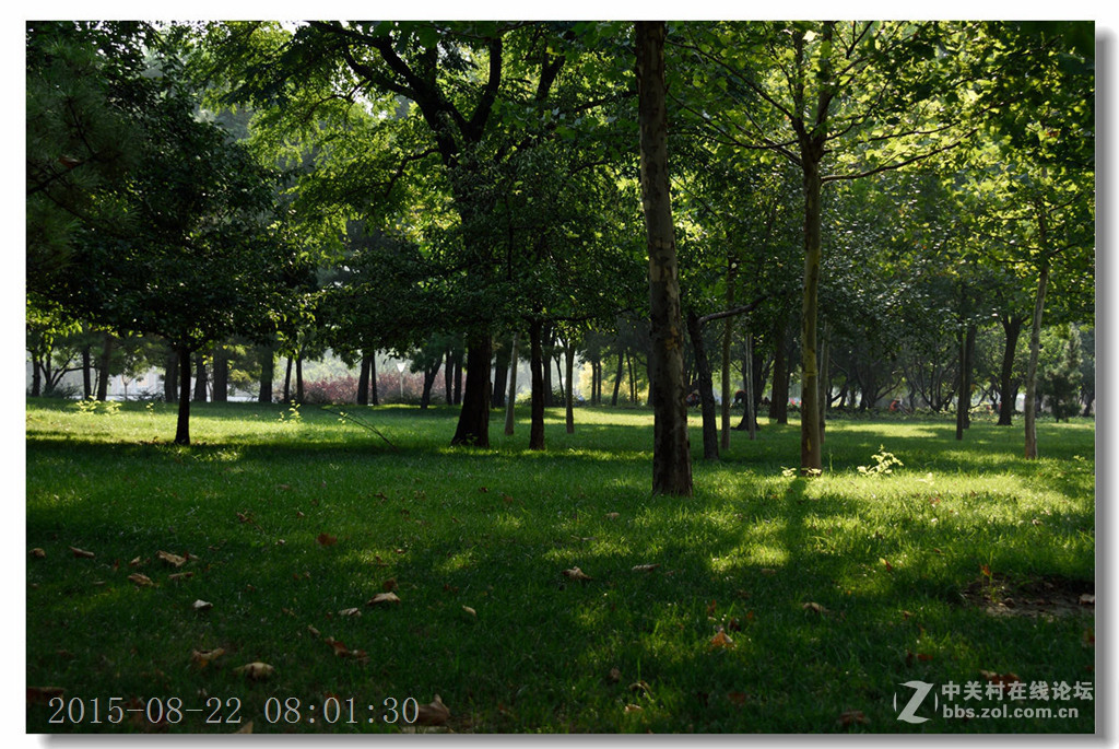 泰丰公园重现蓝天白云