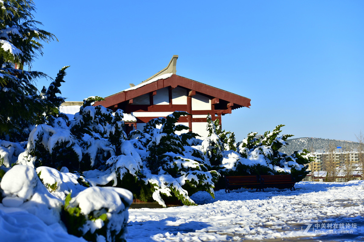 750 70-200,,2015年第一场大雪后的诸葛亮公园。