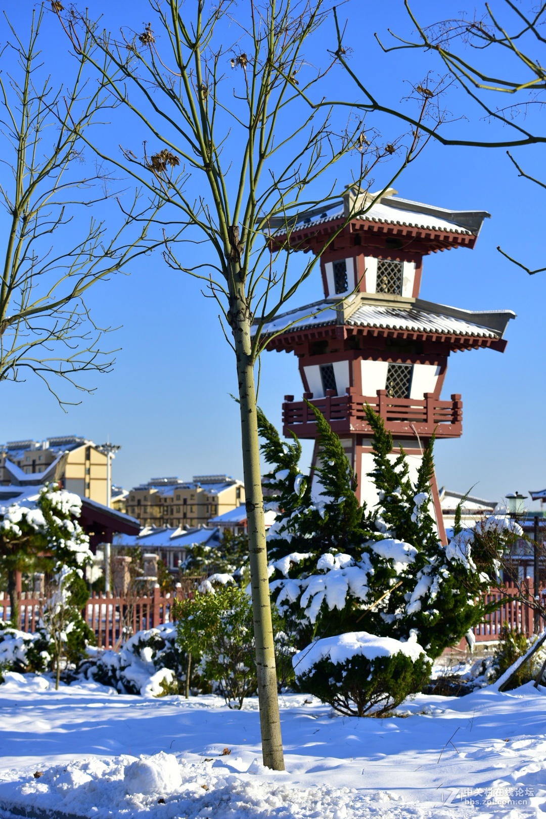 750 70-200,,2015年第一场大雪后的诸葛亮公园。