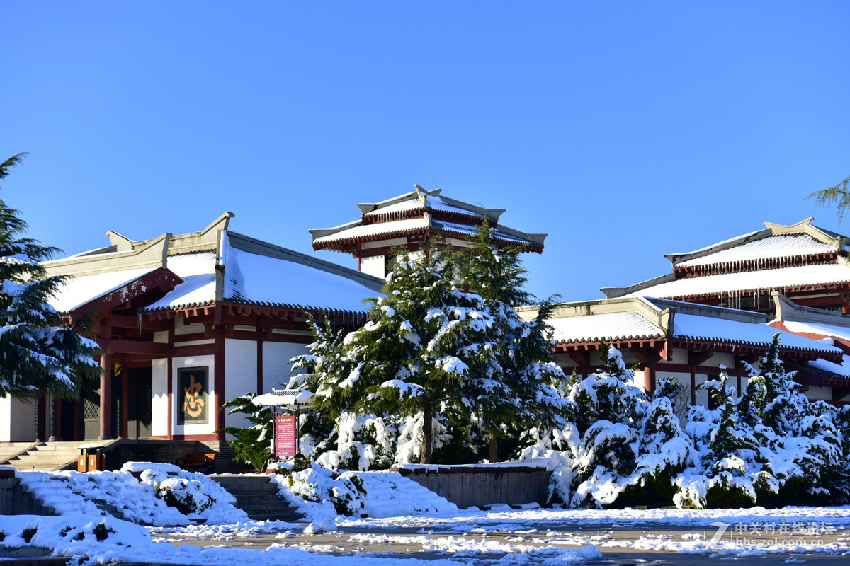 750 70-200,,2015年第一场大雪后的诸葛亮公园。