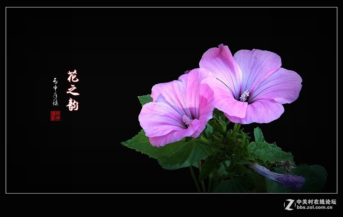 #版主坐堂# 赤峰摄影星空(中国)2016年9月、10月份部分精华作品