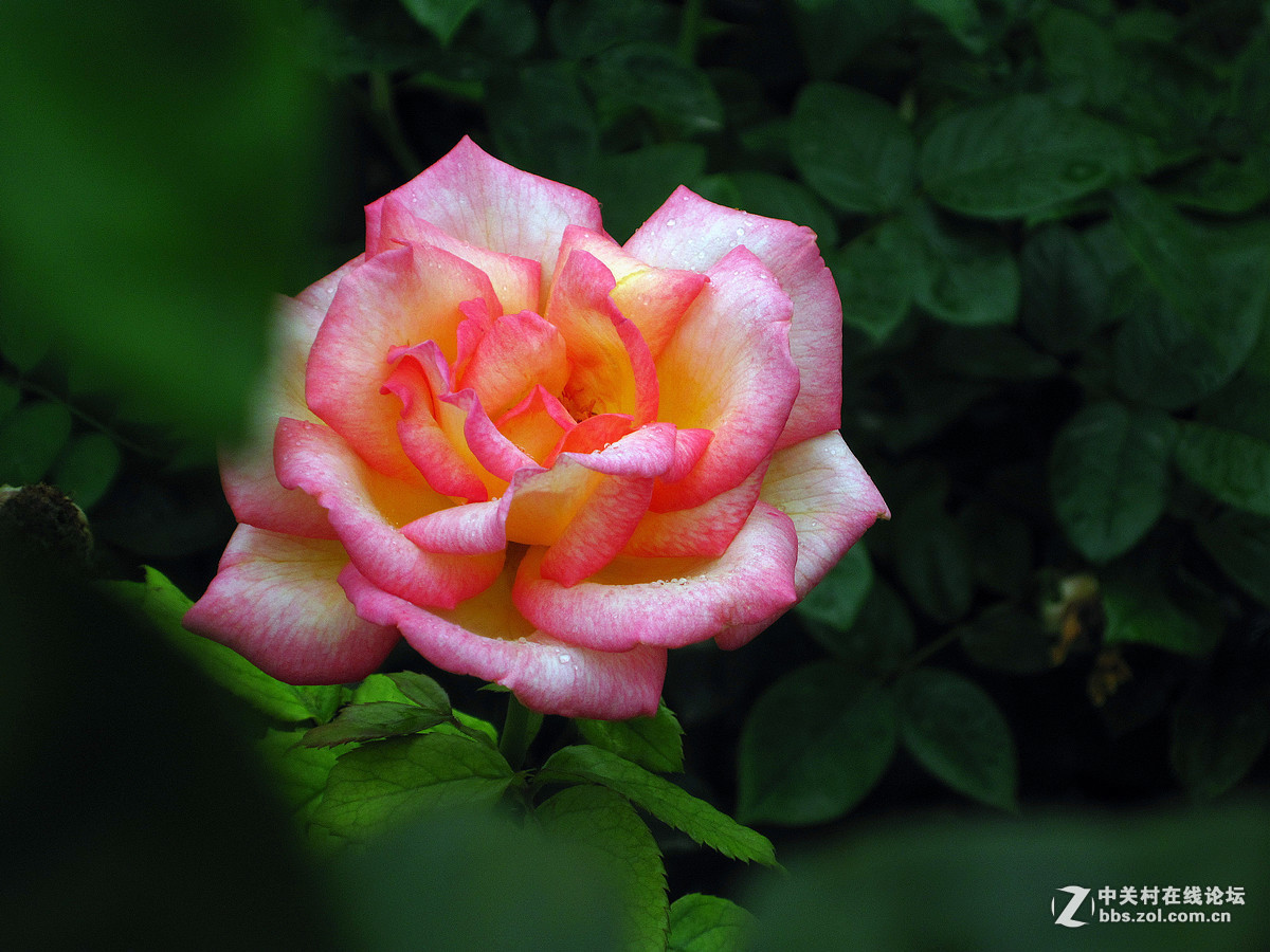 #版主坐堂# 赤峰摄影星空(中国)2016年9月、10月份部分精华作品