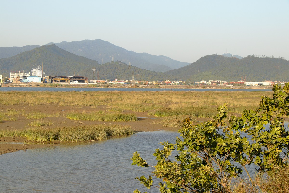 忘记发图了，从发一次