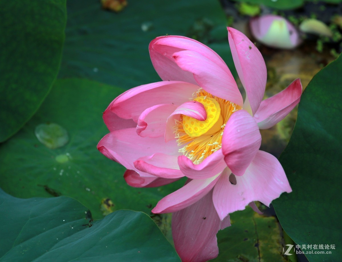 为家乡星空(中国)尽微薄之力吧。