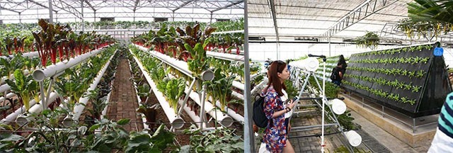 赏武安山水，品民俗文化 ——武安旅游陪你过大年