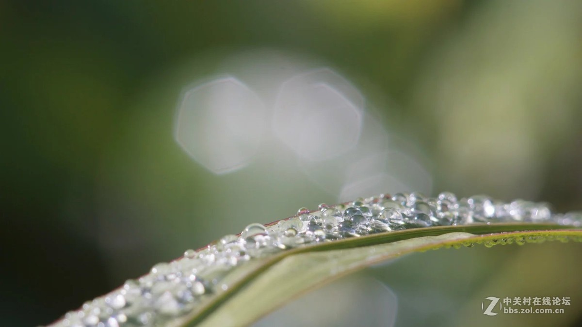 再传花与微距一组