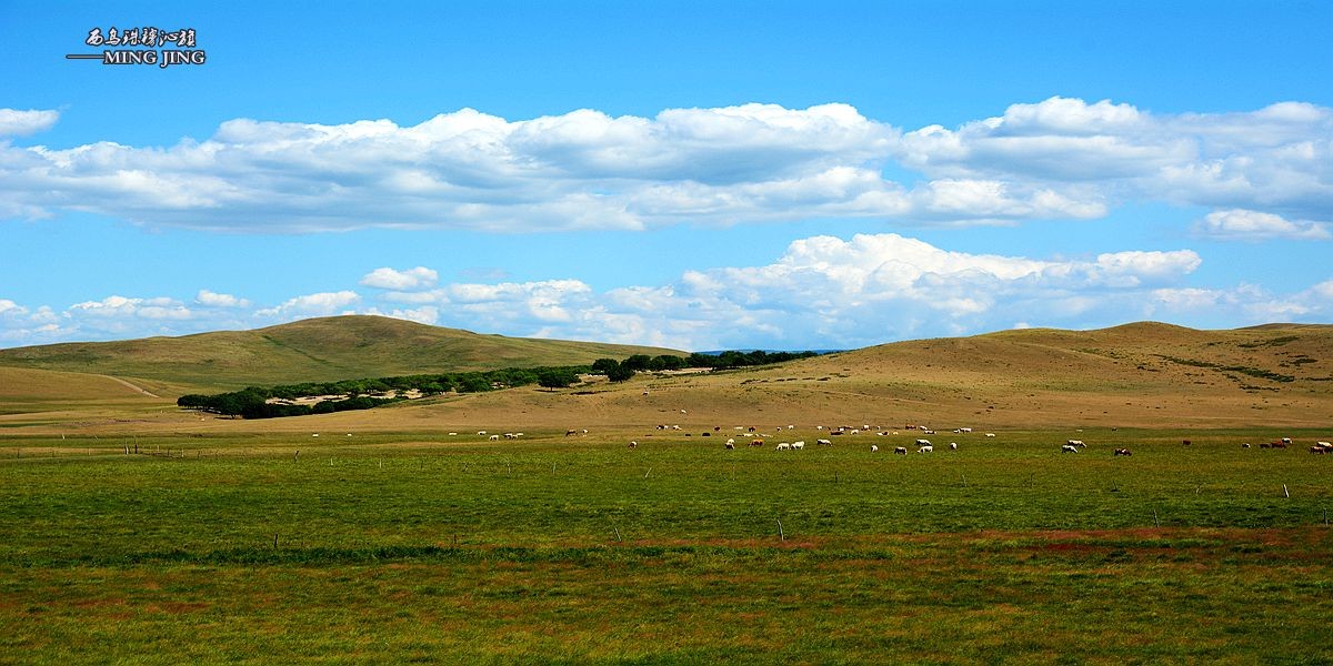 心有多远、脚走多远。。西乌珠穆沁旗 风光！
