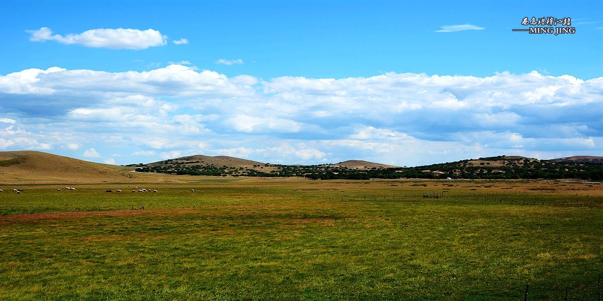 心有多远、脚走多远。。西乌珠穆沁旗 风光！