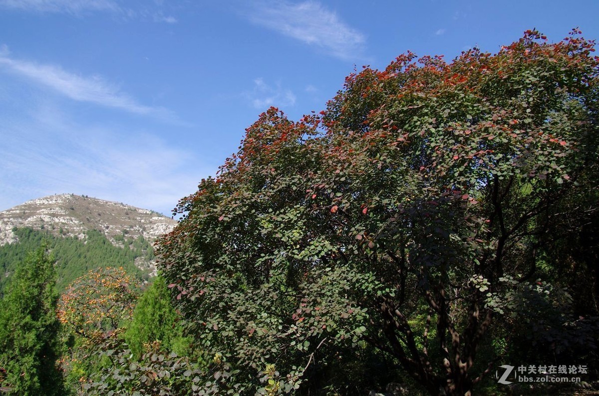 『秋游石门坊-1』