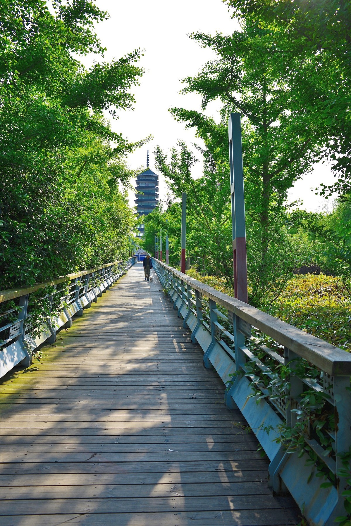 上海宝山滨江公园