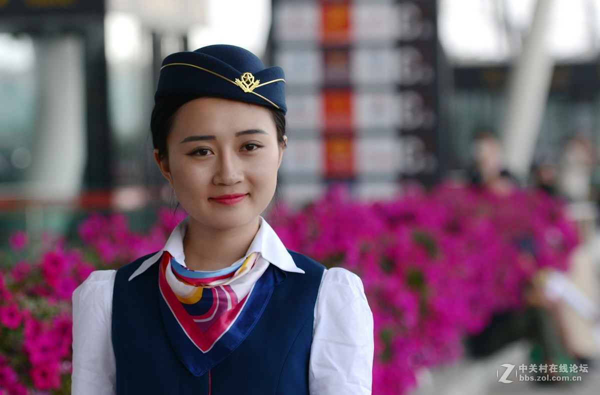 靓丽空姐