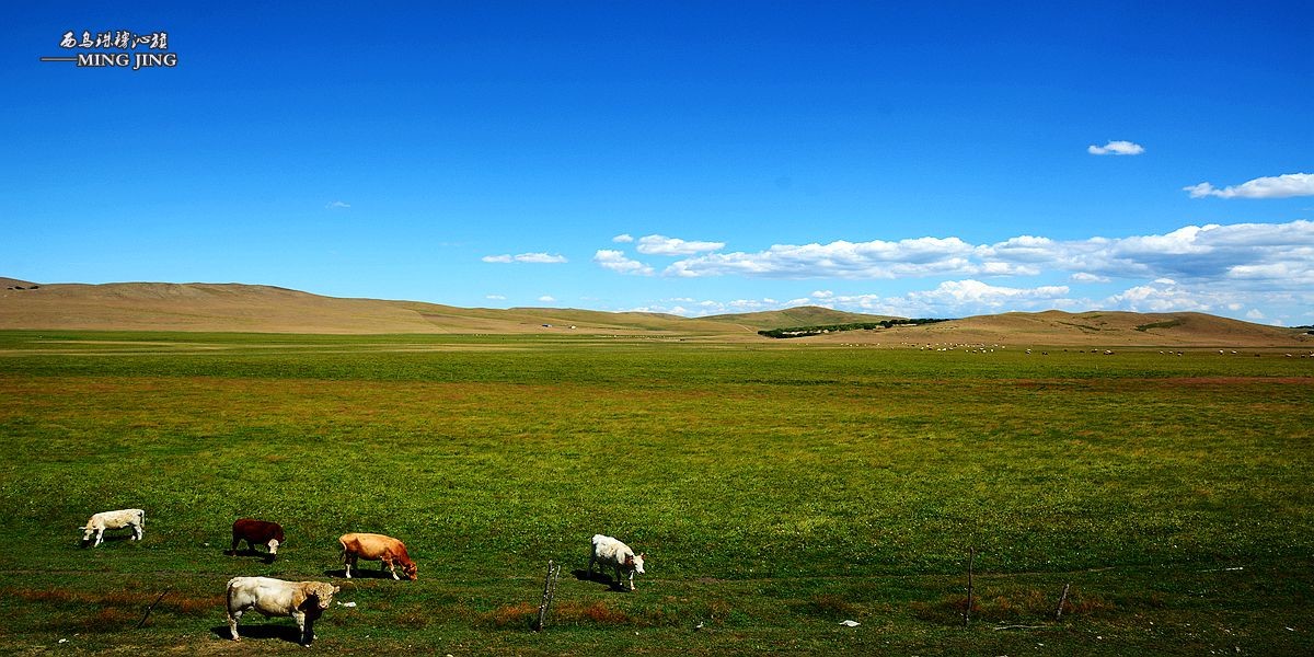 心有多远、脚走多远。。西乌珠穆沁旗 风光！