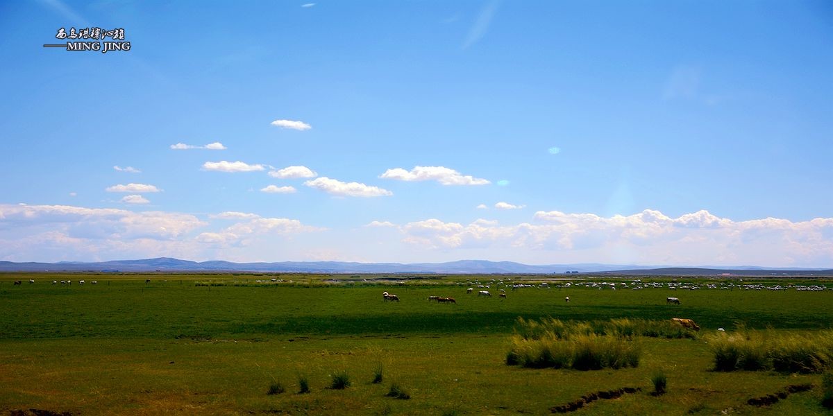 心有多远、脚走多远。。西乌珠穆沁旗 风光！