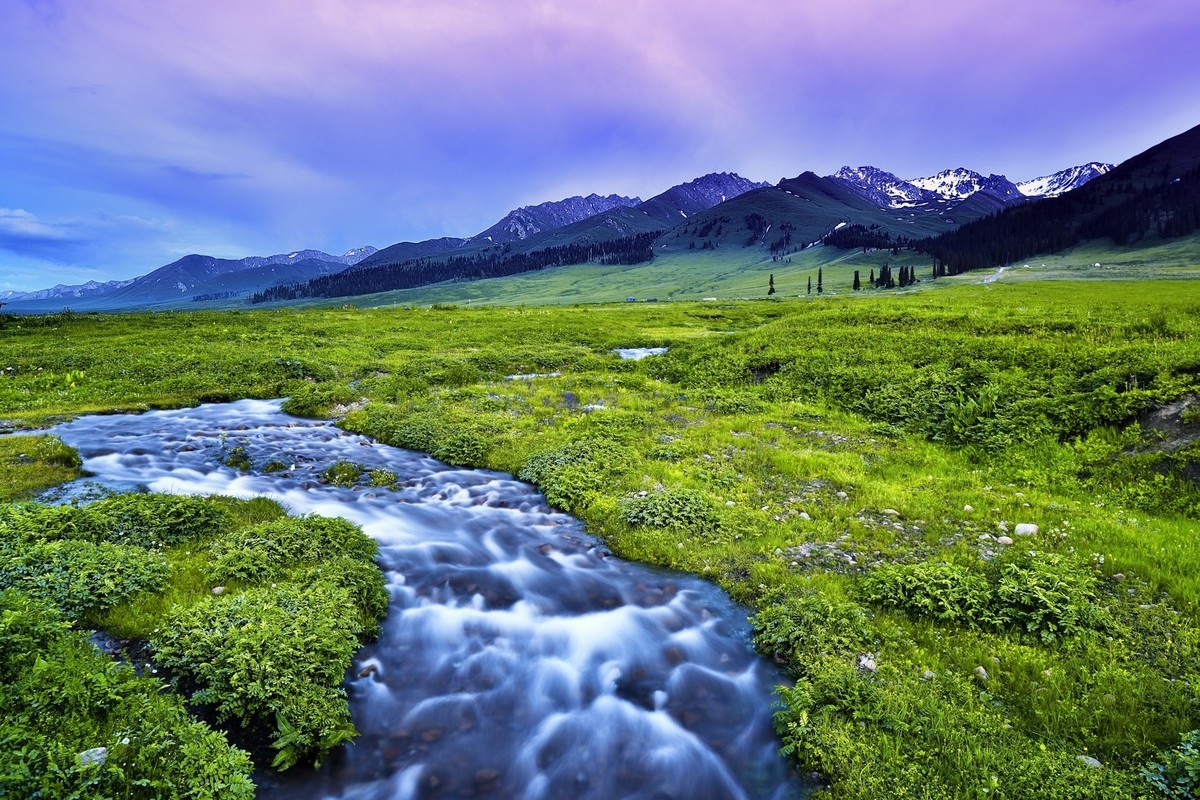 【魅力D700】——那拉提雪莲谷