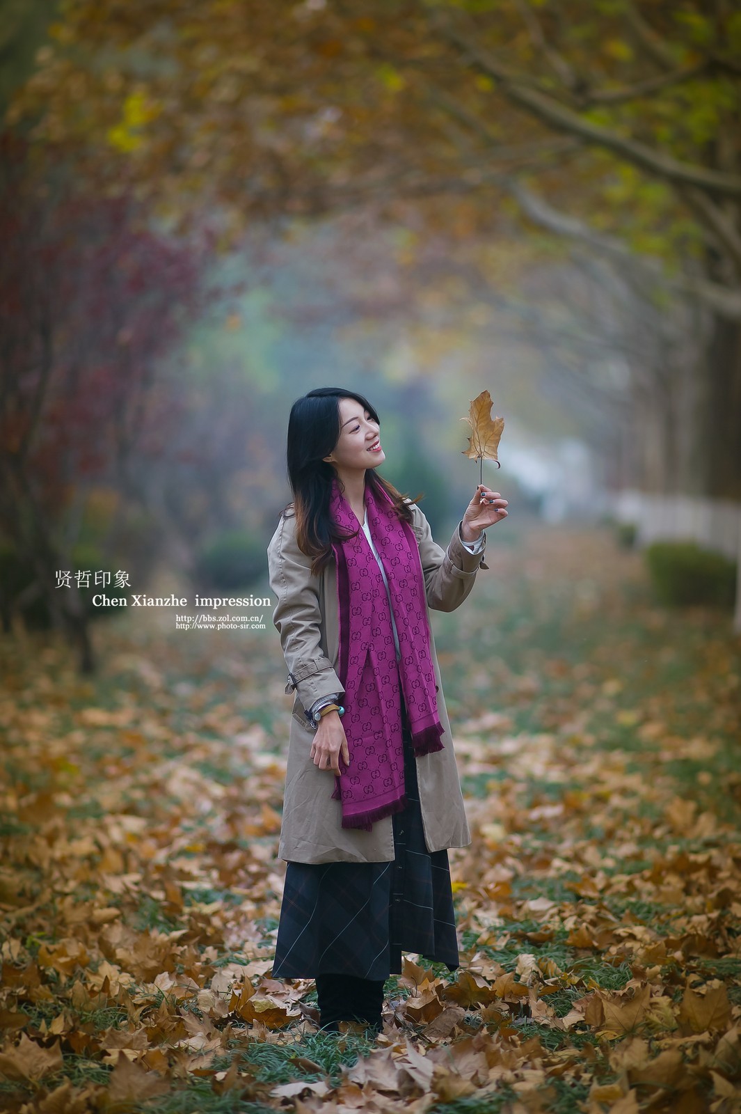 【初冬靓影】---- AF DC-Nikkor 135mm f/2D 习作