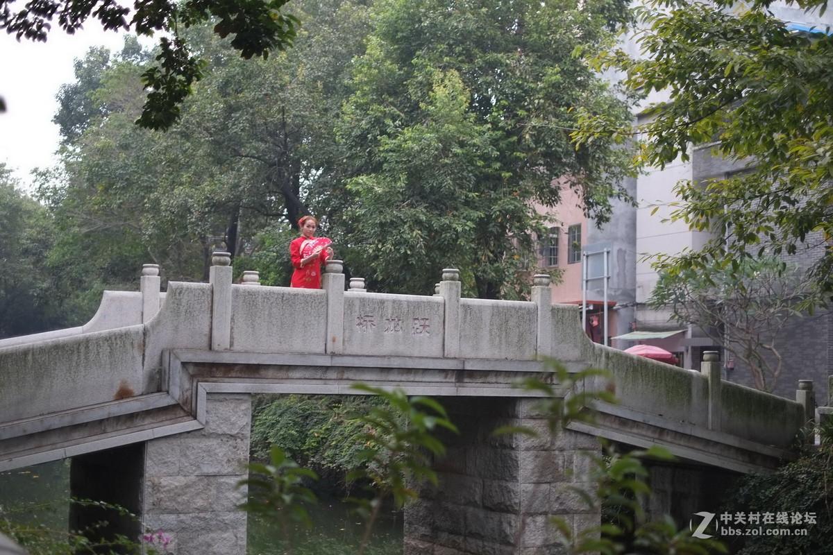 20160104 聚龙旗袍