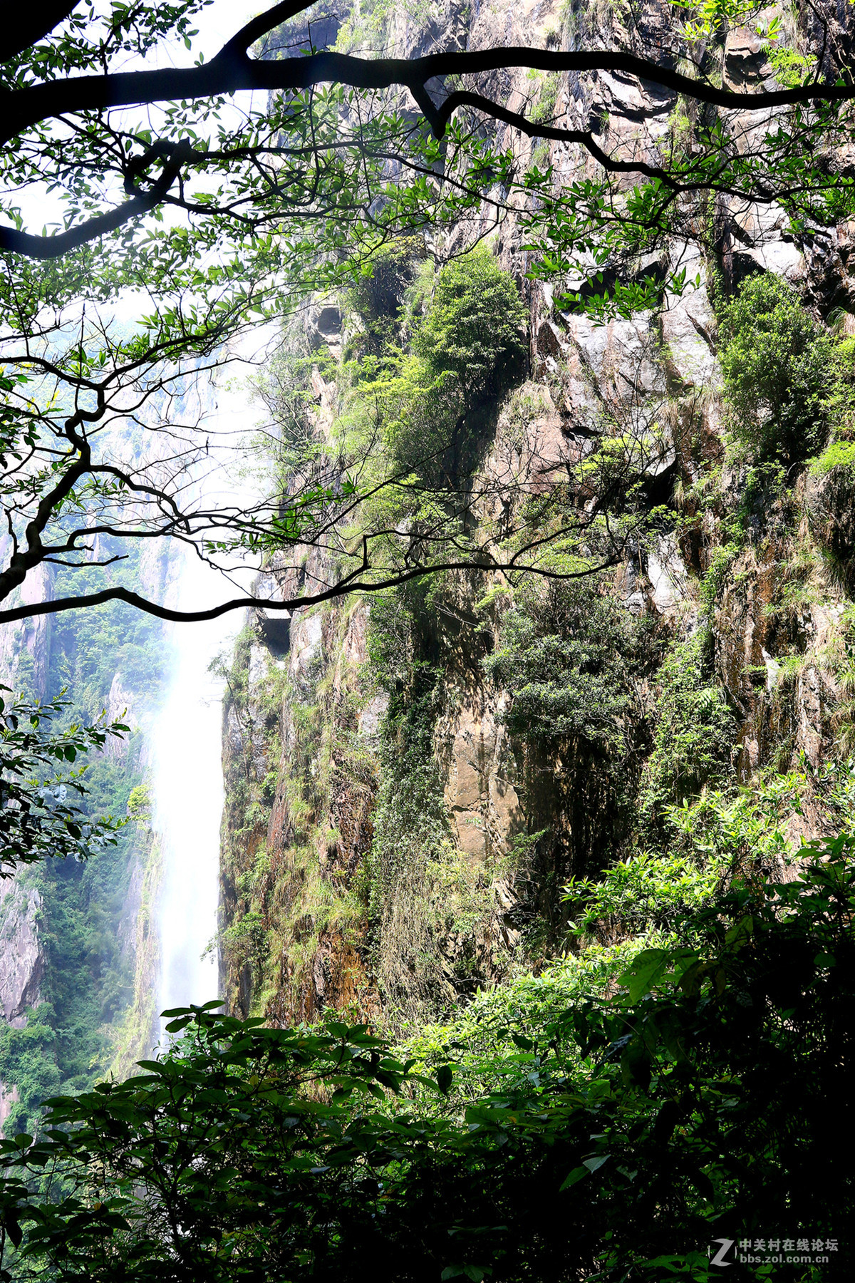 原片，一次户外活动，內有美女哦！