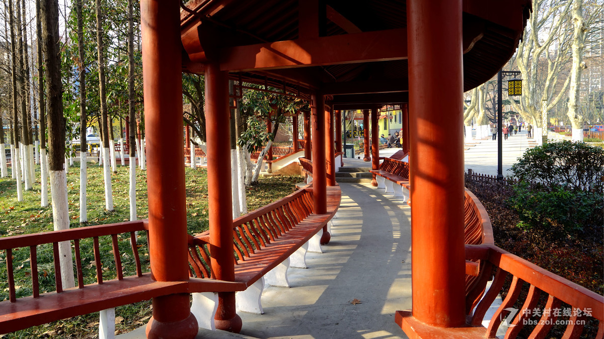 索尼ILCE-7R低感50的画质