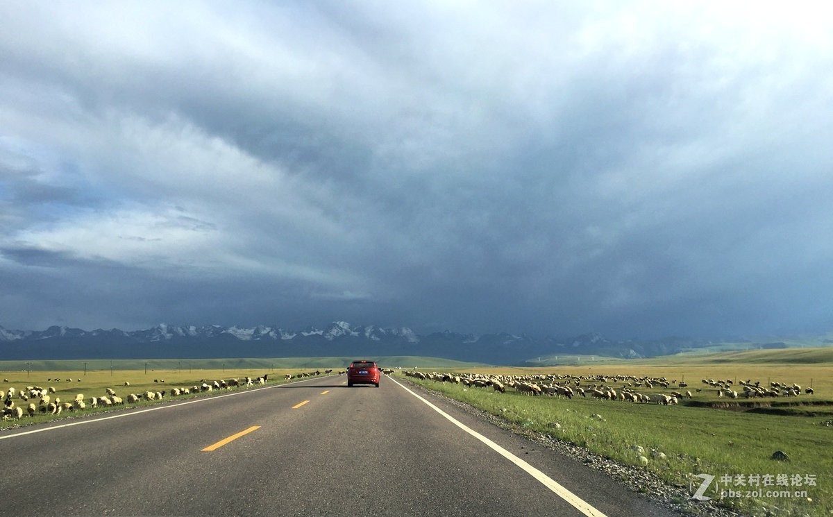 2017夏 长沙到喀什（95）穿越巴音布鲁克草原