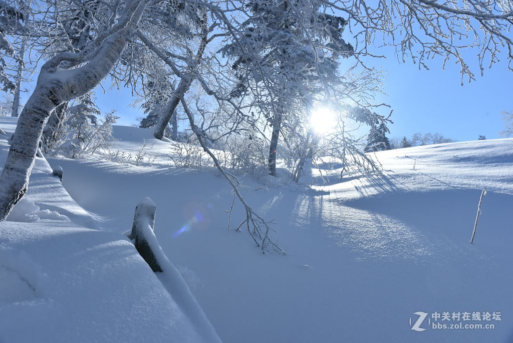 转载一组尼粉的雪景、雾凇