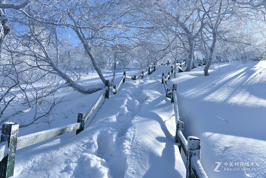 转载一组尼粉的雪景、雾凇