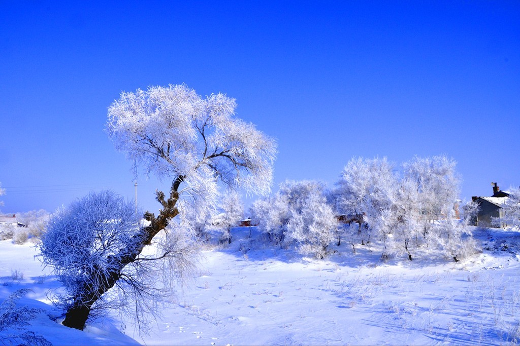转载一组尼粉的雪景、雾凇
