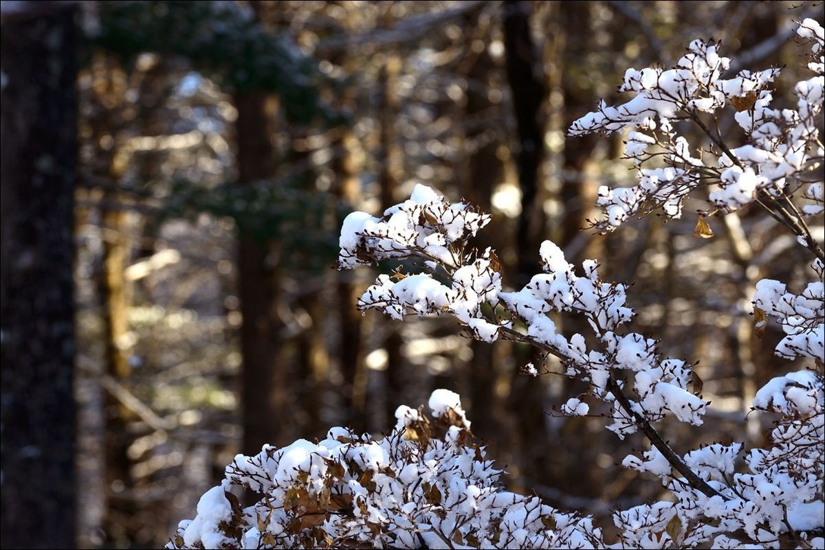 休闲随拍（376）