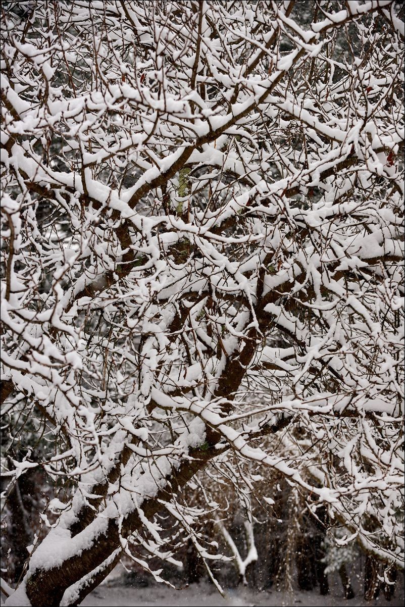 休闲随拍（376）