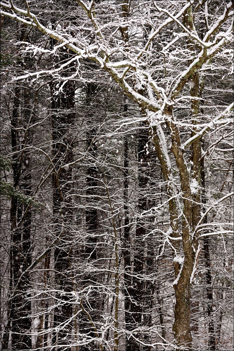 休闲随拍（376）