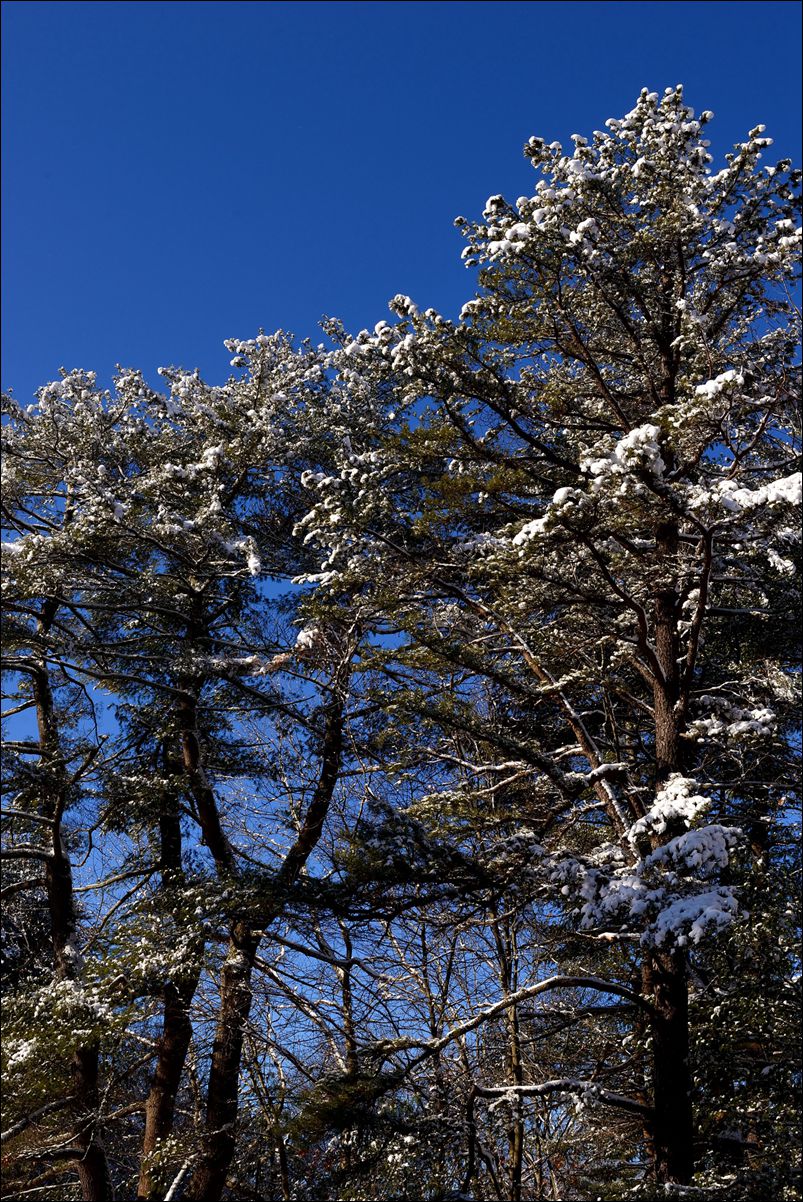 休闲随拍（376）